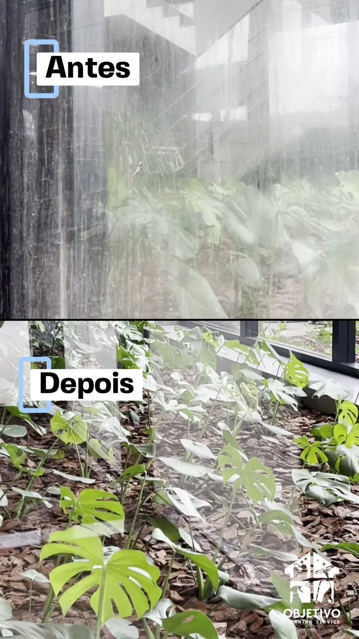 Vidro antes e depois da limpeza profissional